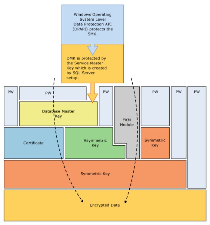 ms sql server